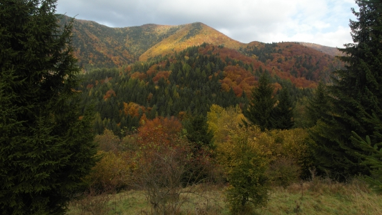 Jeseň.