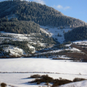 Na zimnej prechádzke.