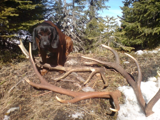 Hmmm......to je vôňa :)