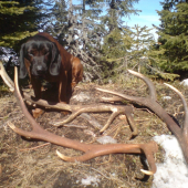 Hmmm......to je vôňa :)