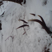 prvý pohlad-priehyba