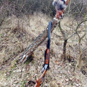 Vidím hory, vidím lesy, škrekot sojky počuť kdesi...