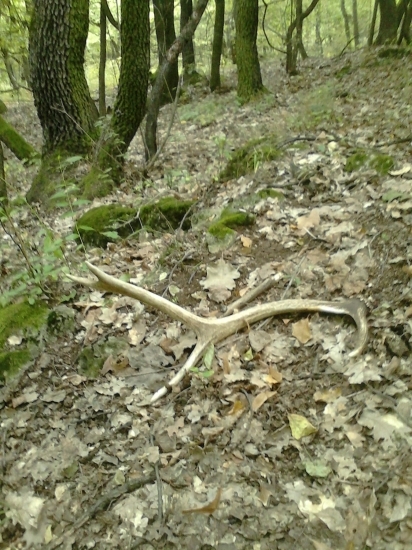 na dnešnej prechádzke