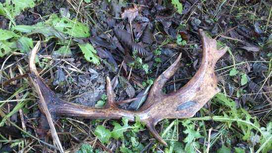 konecne sa bratovi zadarilo