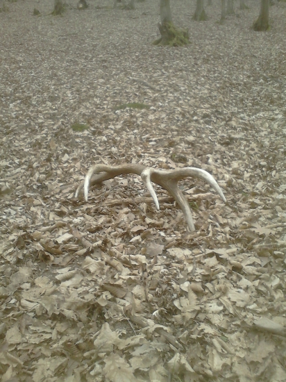 zas sa usmialo stastie