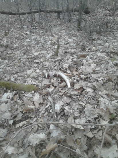 vela krat som ho obisiel