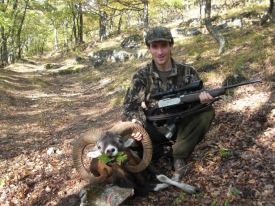 môj 1.muflón-5ročný,strieborný