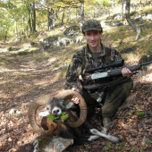 môj 1.muflón-5ročný,strieborný