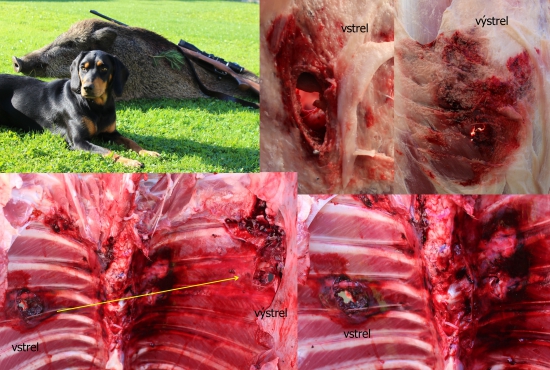 Sako Superhammerhead 308win a lanštiak