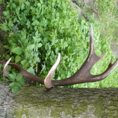 Kto našiel druhý ?