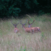 Posádka na odchode.