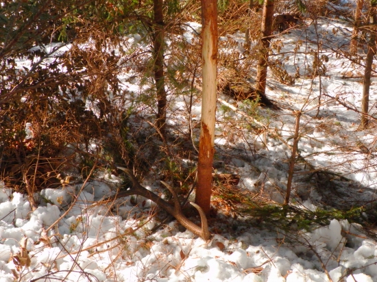 Si sa kúsok narobil.