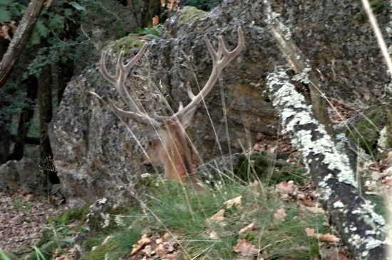 Na hrebeni