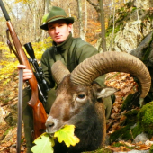 Novembrový