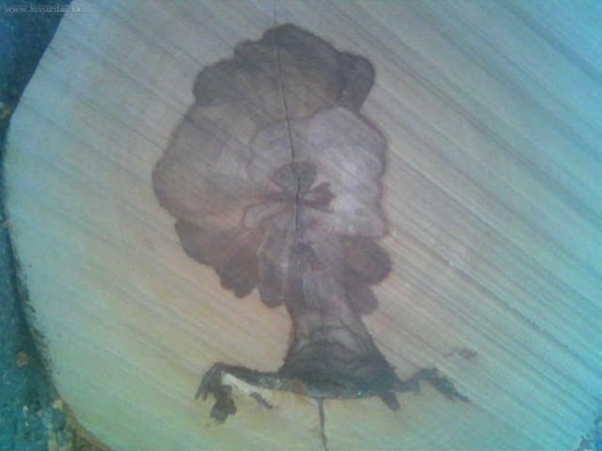 Aj príroda vie kreslit