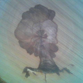 Aj príroda vie kreslit