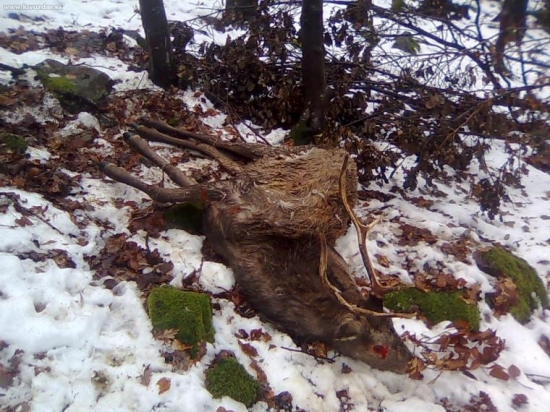 Namiesto zhodov trofej