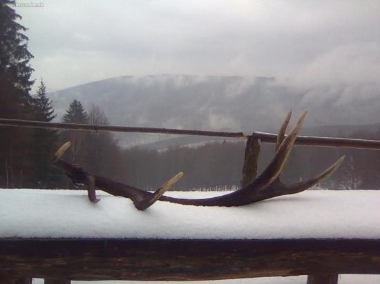 Konečne odmena za celoročnú starostlivost