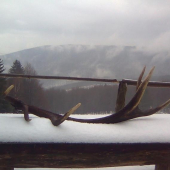 Konečne odmena za celoročnú starostlivost