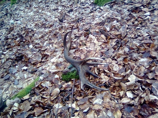 Dnešný, škoda že nie môj...