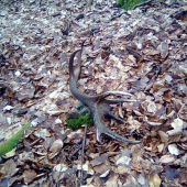 Dnešný, škoda že nie môj...