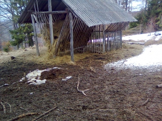 Poteší každé oko, milovníka prírody...