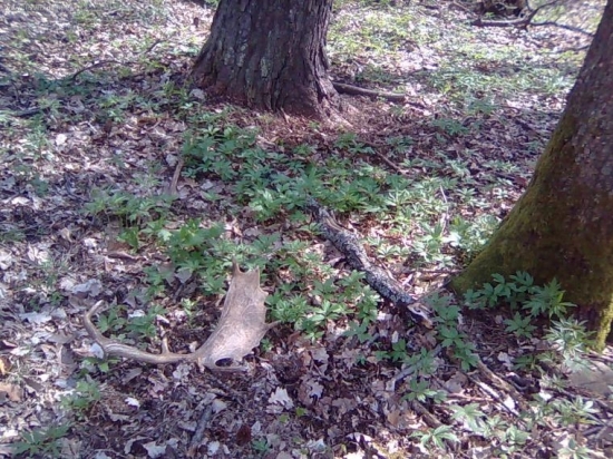 Prvá prechadzka a hned aj úspech.