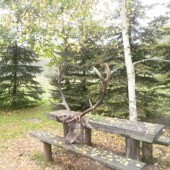 Kolegov úspešný doprovod hosta