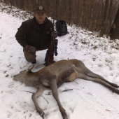 Uspšný doprovod hosta