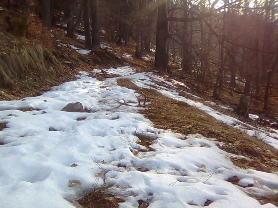 Už som si myslel,že idem domov naprázdno...
