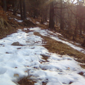 Už som si myslel,že idem domov naprázdno...