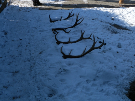 Začiatok sezony,Len staré...