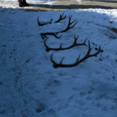 Začiatok sezony,Len staré...