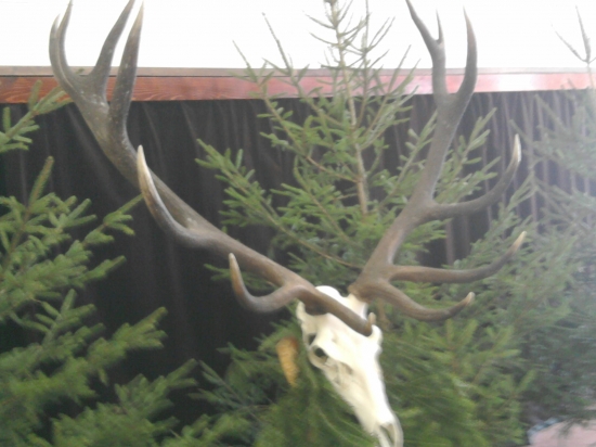 najsilnejšia trofej v PP