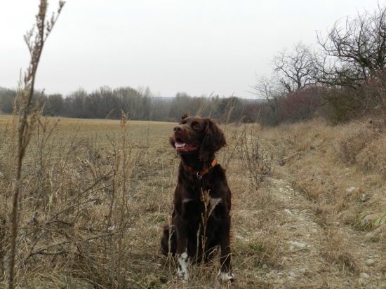 Fred z Budišovské doliny