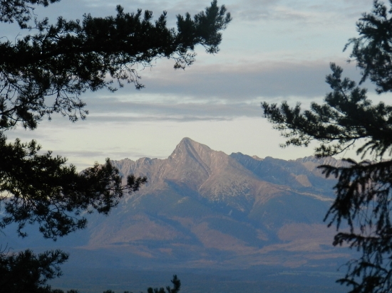 Kriváň