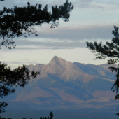 Kriváň