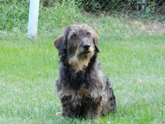 Brita Lacov dvor, česť jej pamiatke !