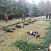 Naháňka ŠLP Křtiny