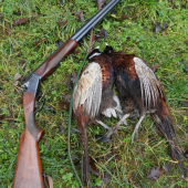 Dnešný úspech ...