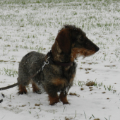Woody, 9 mesiacov