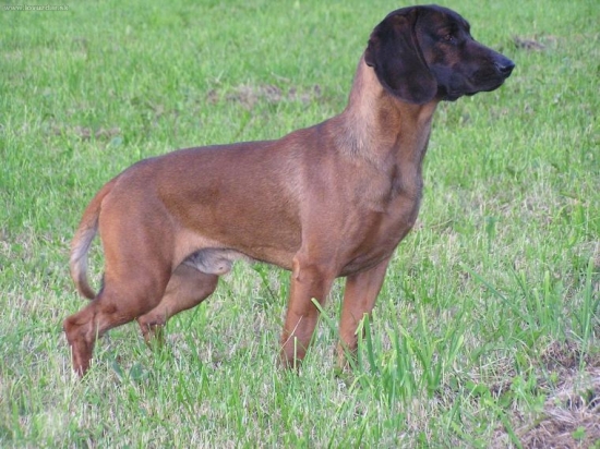 DAN-Jasenovské Vodopády