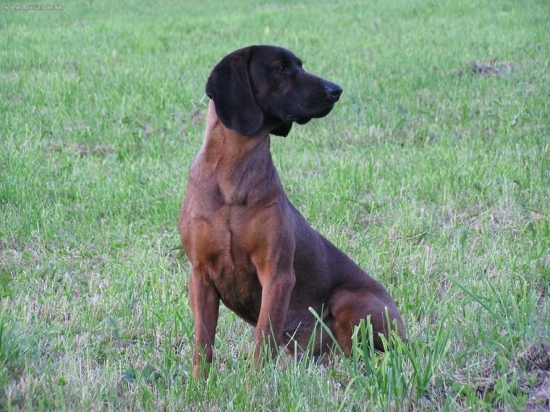 DAN-Jasenovské Vodopády