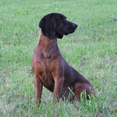 DAN-Jasenovské Vodopády