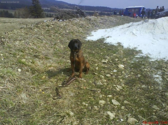 DAN-Jasenovské Vodopády