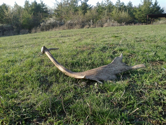 Pohľad ktorý poteší...