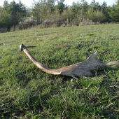 Pohľad ktorý poteší...