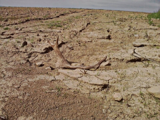 Skoro som ho nezbadal...