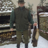 psík medvedíkovitý