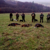 Výrad po 1. spoločnej poľovačke